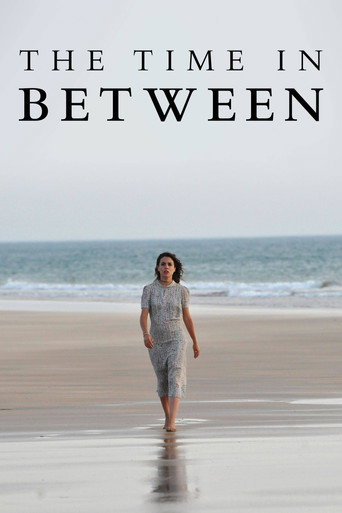 Poster for The Time in Between