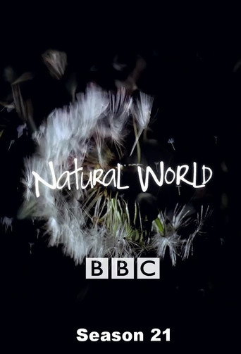 The poster for Season 21