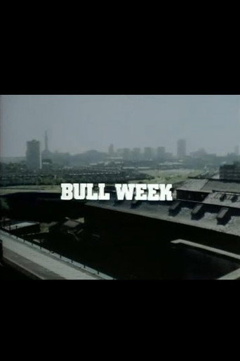 Poster for Bull Week