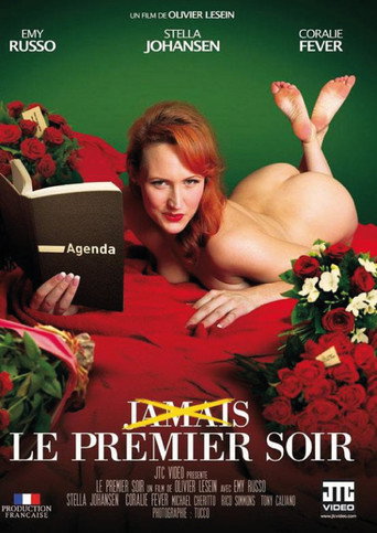 Poster for (Jamais) Le Premier Soir