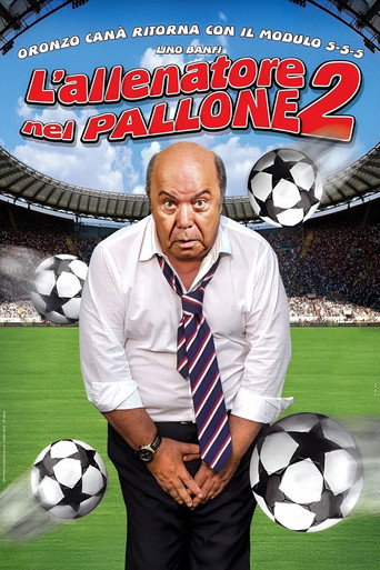 Poster for L'allenatore nel pallone 2