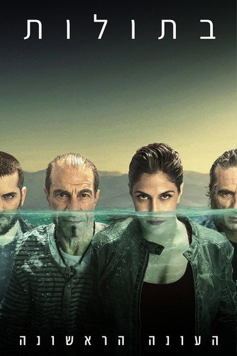 The poster for Season 1