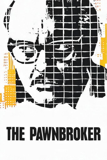 Poster for The Pawnbroker