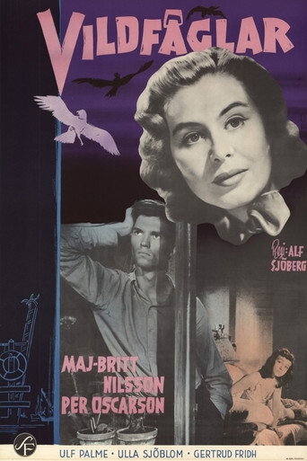 Poster for Wild Birds