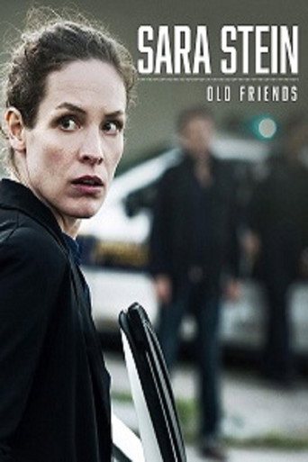 Poster for Sara Stein - Old Friends
