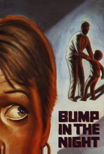 Poster for Bump in the Night