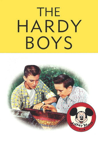 Poster for The Hardy Boys