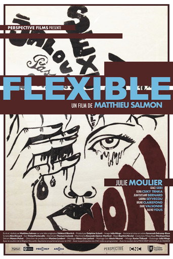 Poster for Flexible