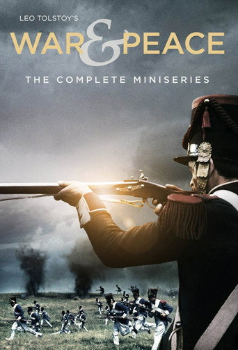 The poster for Limited Series