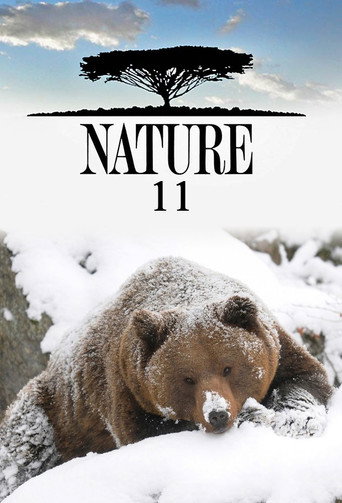 The poster for Season 11