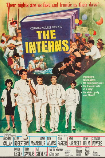 Poster for The Interns