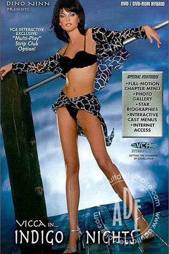 Poster for Indigo Nights