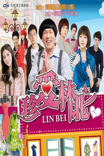 Poster for 珍愛林北