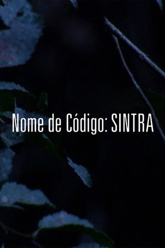 Poster for Codename: Sintra