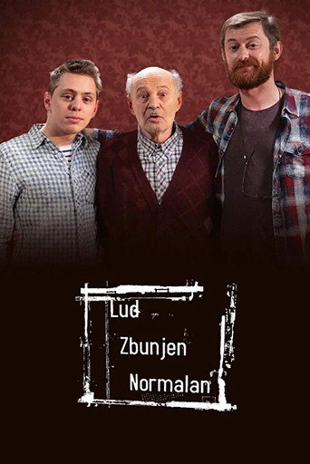 Poster for Crazy, Confused, Normal