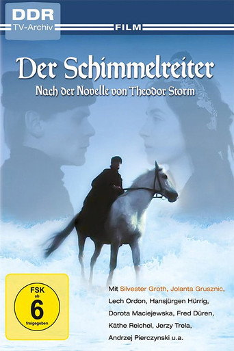 Poster for Der Schimmelreiter
