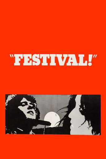 Poster for Festival