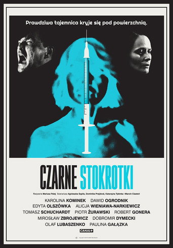 The poster for Limited Series