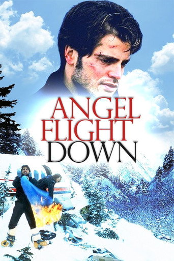 Poster for Angel Flight Down