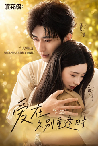 Poster for 爱在久别重逢时
