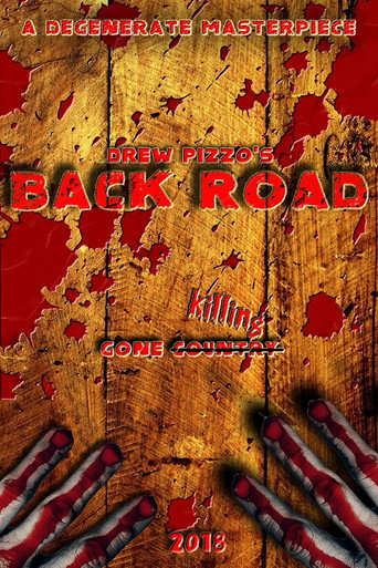 Poster for Back Road