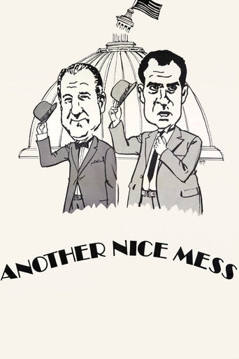 Poster for Another Nice Mess