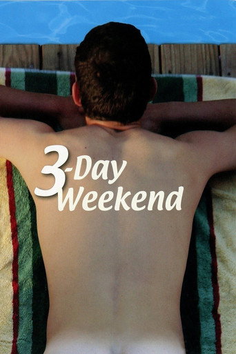 Poster for 3-Day Weekend