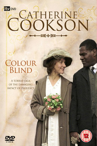 Poster for Colour Blind
