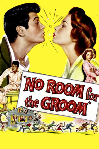 Poster for No Room for the Groom