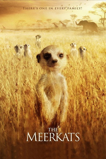 Poster for The Meerkats