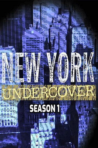 The poster for Season 1