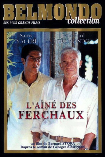 Poster for L'Aîné des Ferchaux