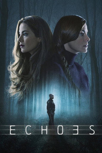 The poster for Limited Series