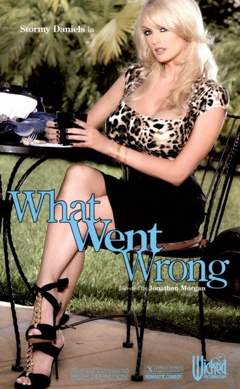Poster for What Went Wrong