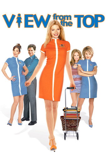 Poster for View from the Top