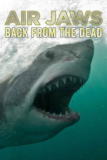Poster for Air Jaws: Back From The Dead
