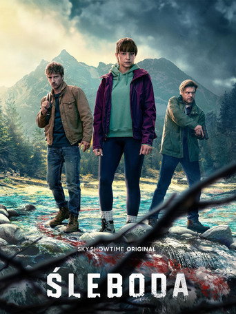 The poster for Limited Series