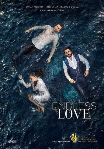 Poster for Kara Sevda