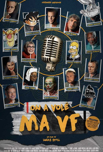 Poster for On a volé ma VF