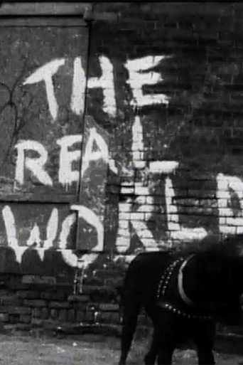 The poster for New York City