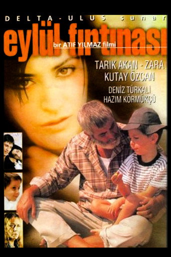 Poster for After the Fall