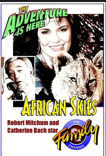 Poster for African Skies