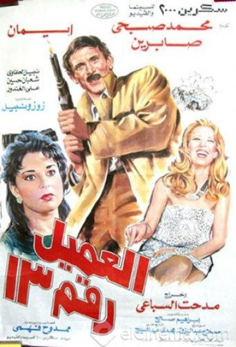 Poster for Agent number 13