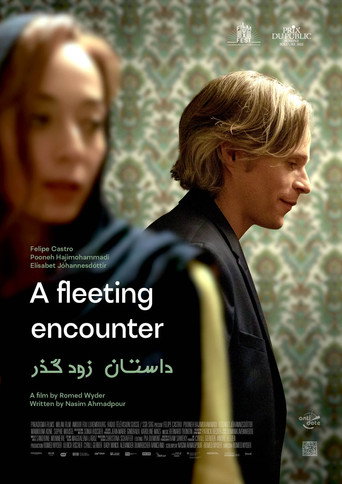 Poster for A temporary story