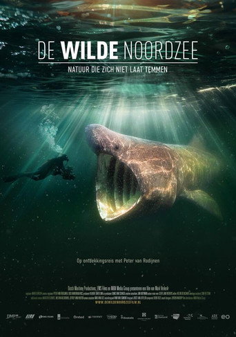 Poster for North See - Nature Untamed