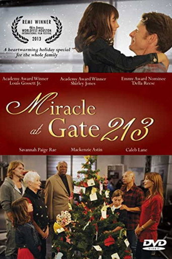 Poster for Miracle at Gate 213