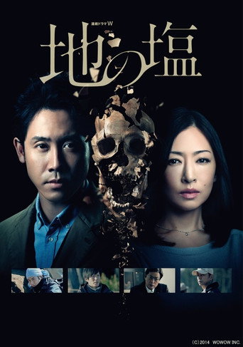 Poster for Salt of the Earth