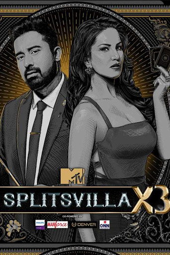 The poster for Season 13