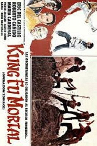 Poster for Kung fu mortal: Operación zodiaco