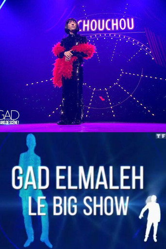 Poster for Gad Elmaleh - Le Big Show